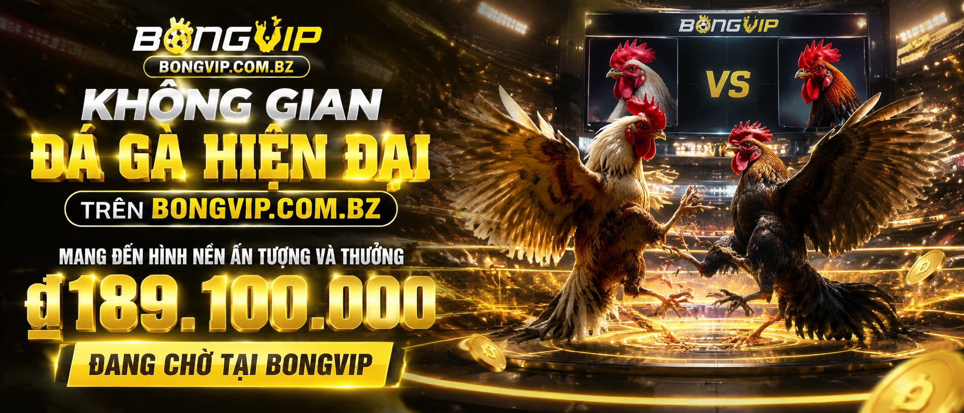 Đá Gà trực tiếp trên bongvip.com.bz