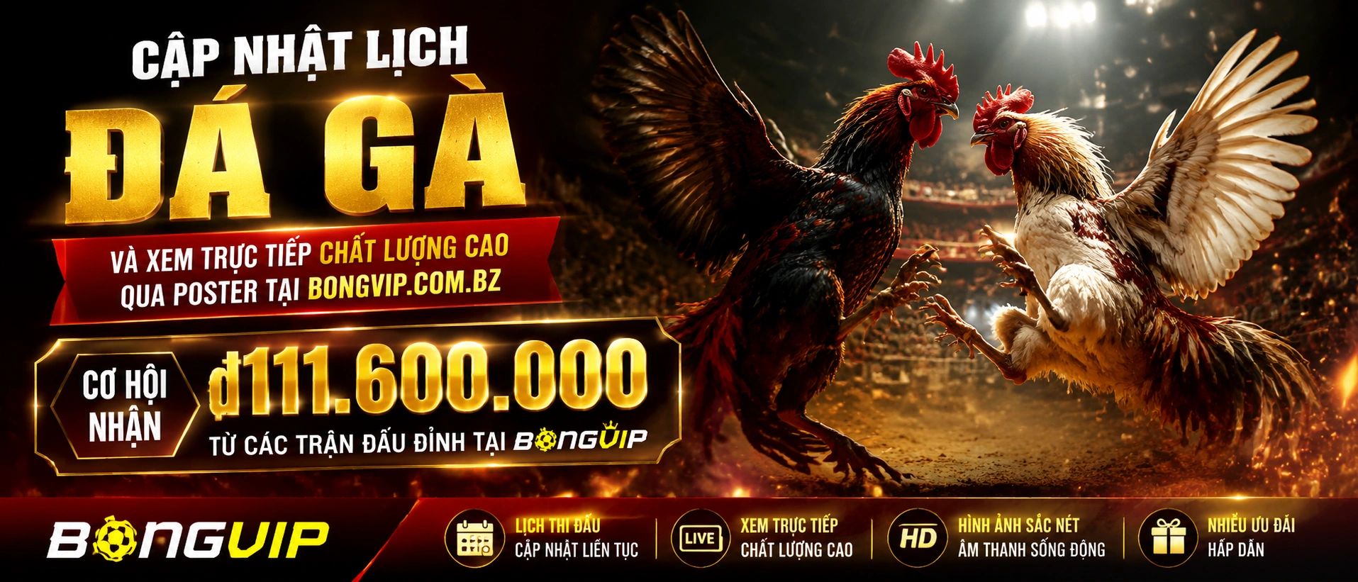 Danh mục Đá Gà Campuchia trên bongvip.com.bz