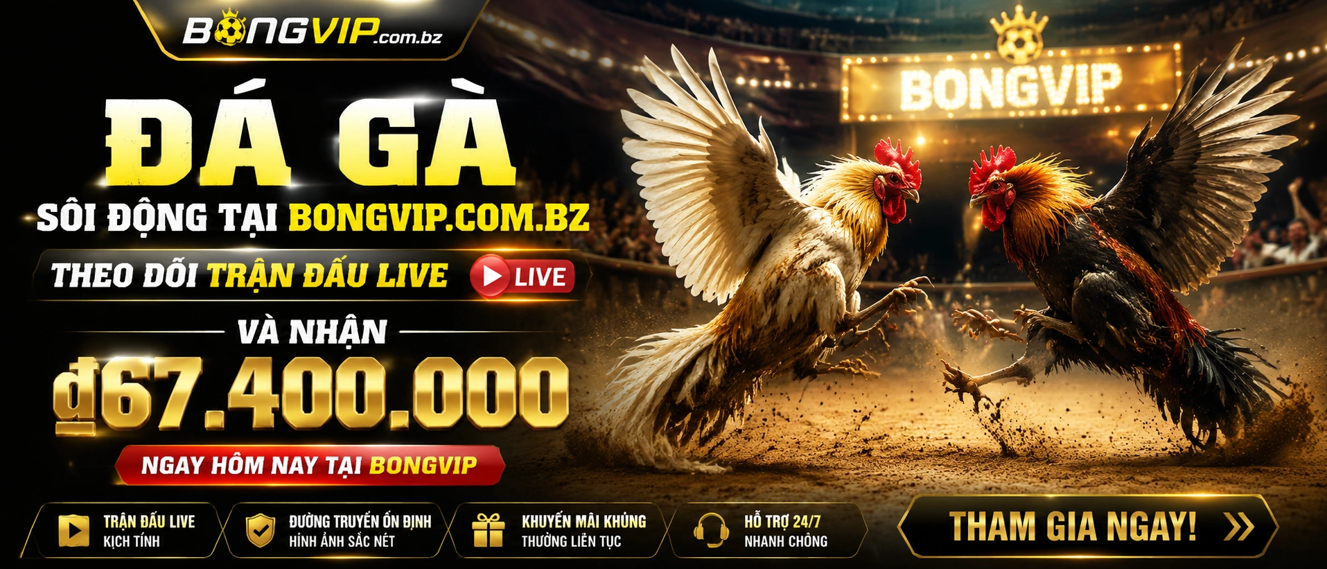 Đá Gà trực tiếp trên mobile web bongvip.com.bz
